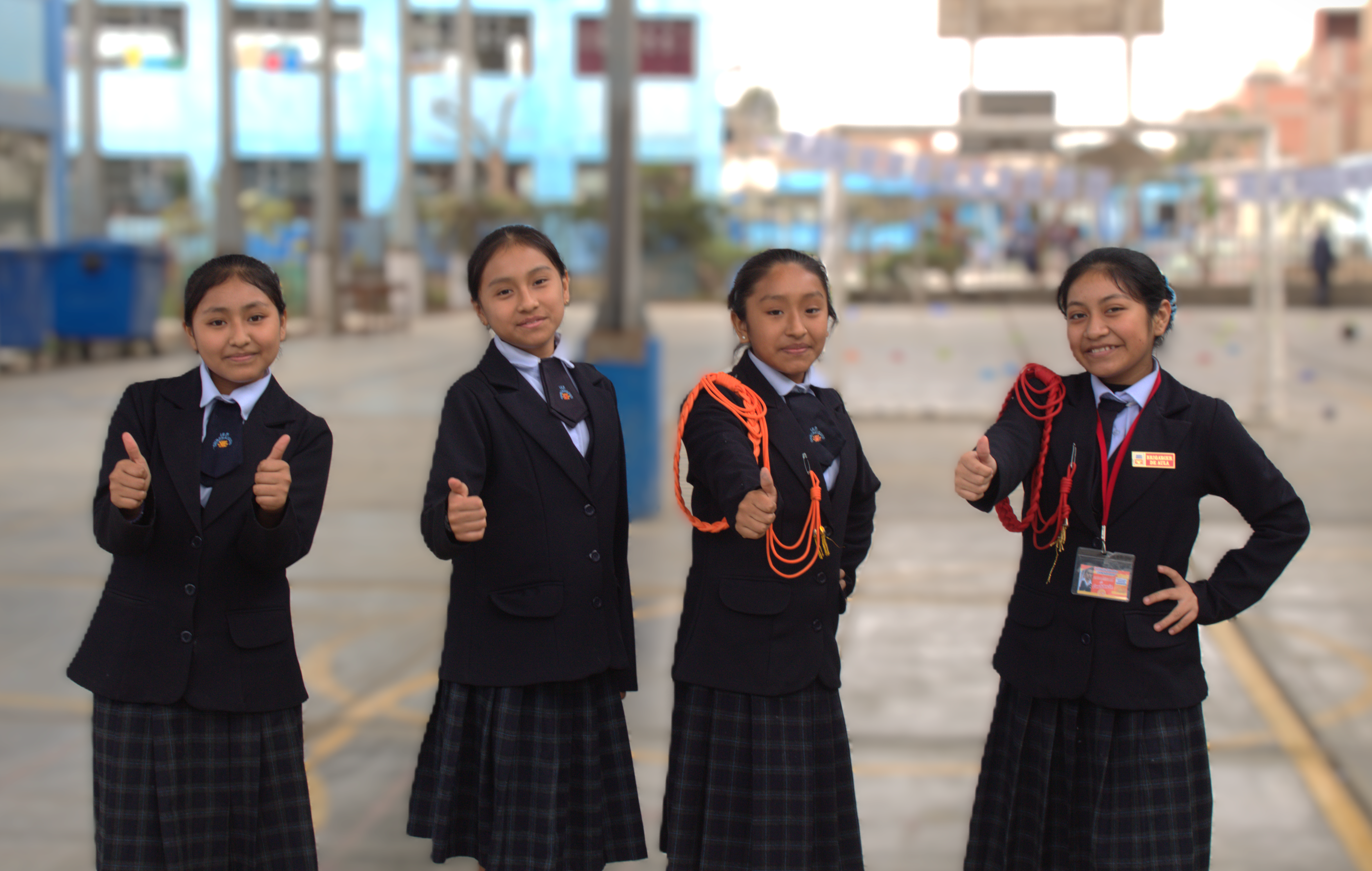 Metodología Primaria