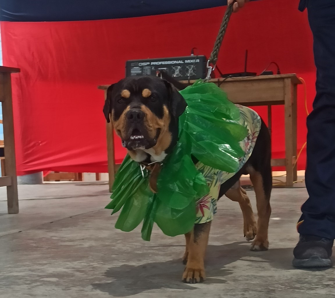 Competencia de Mascotas